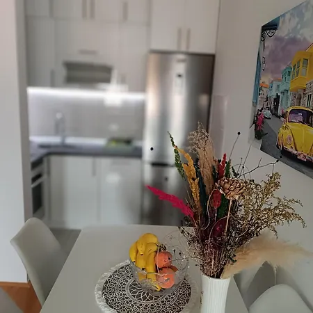 Center Apartment Bijeljina